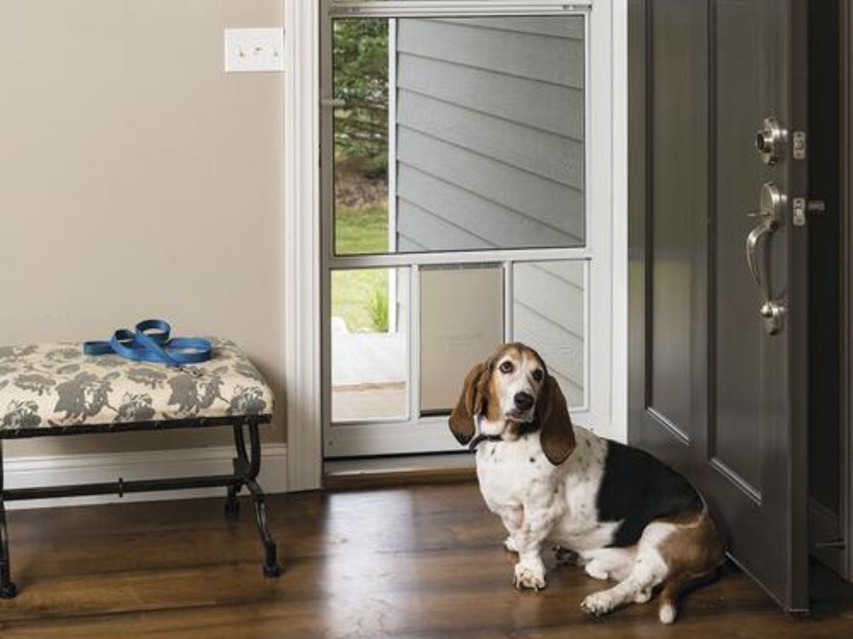 long term benefits of installing storm door